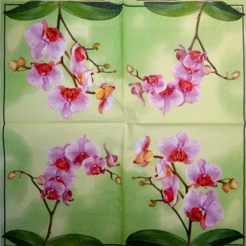 027 Orchids - 3-ply (yellow) - Ihr